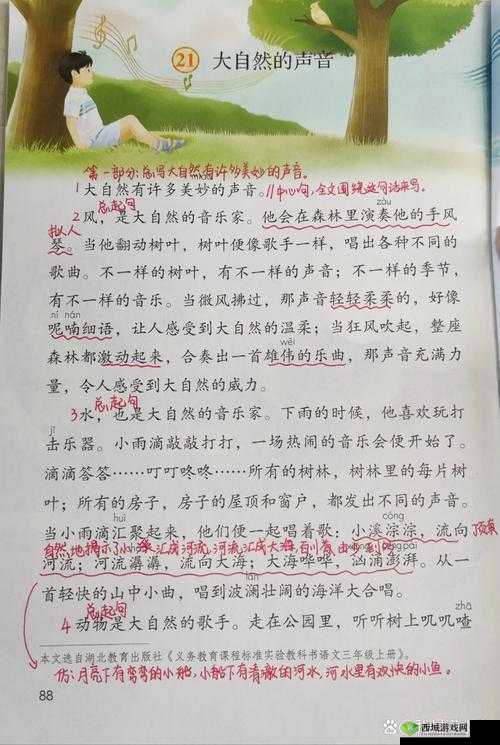 结合处粘腻水声拍打声:探秘神秘而独特的自然之声