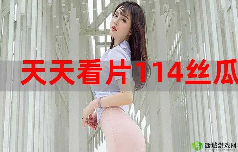 b 站在线观看:各类精彩视频任你畅享不停歇