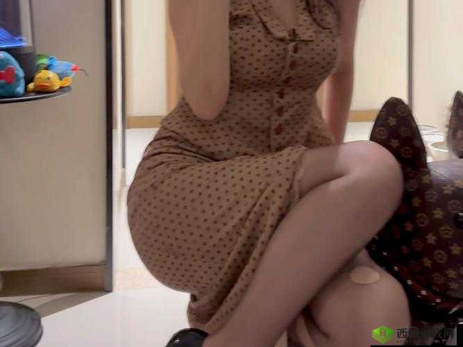 关注 b 站暴躁姐,领略别样的网络风采