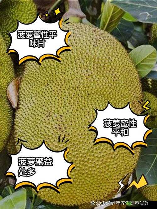 菠萝蜜视频污在菠萝蜜视频在线观看:这里有你想看的精彩内容