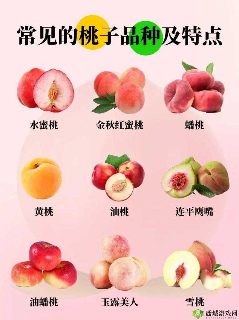 x7x7x7x7 任意噪水蜜桃:关于它的独特魅力与相关探讨