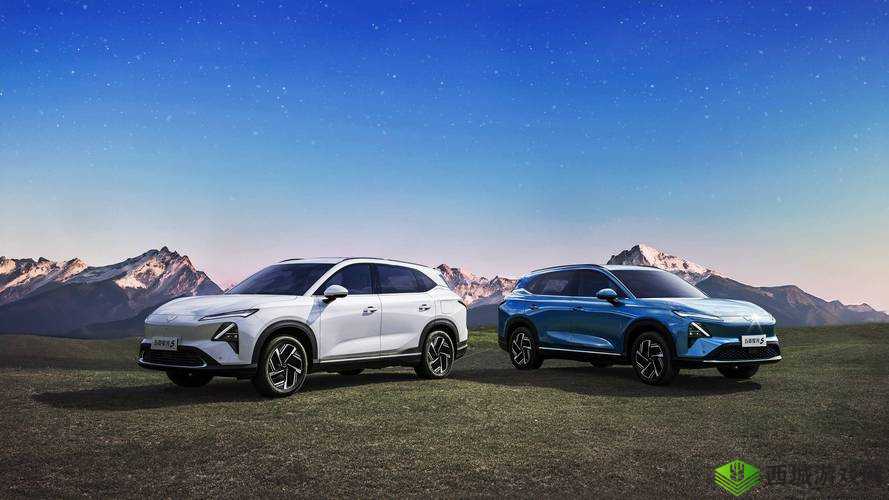 俺来也新址:探索未来发展的全新起点与方向