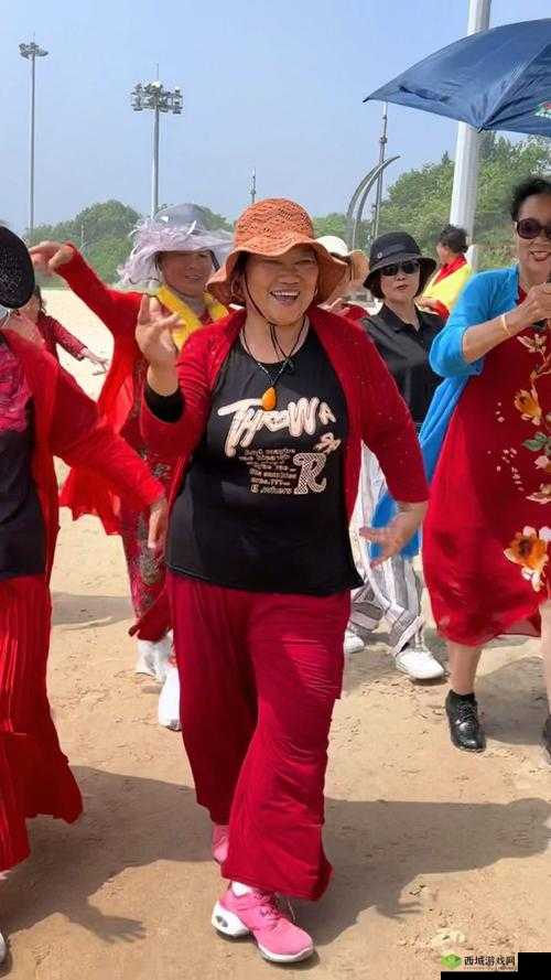 53 岁大妈山坡娱乐活动:充满活力与欢乐的精彩瞬间