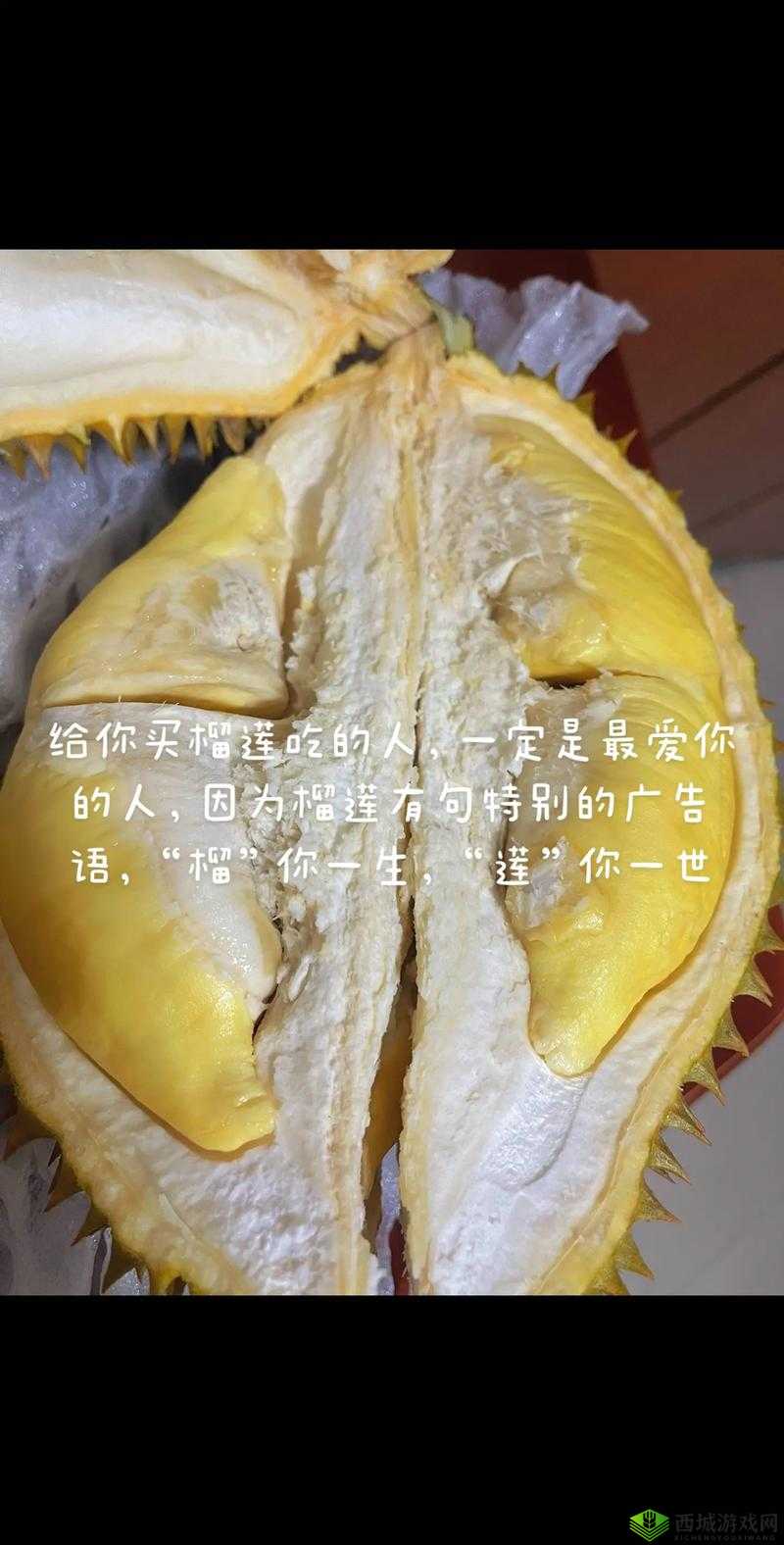 lll.999 榴莲视频:超精彩榴莲视频内容等你来欣赏