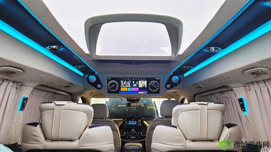 头等舱客服的特殊待遇 2:详细解读与深入分析