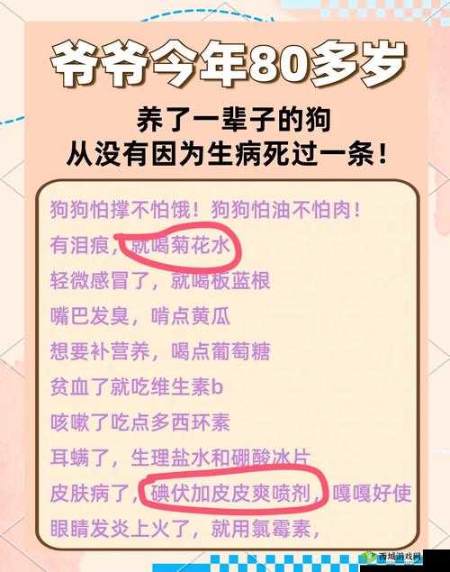 人狗胶配方大全狗狗播放:探索宠物健康的神奇秘诀