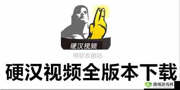 成品短视频 app 官方正版,无广告,无病毒,安全可靠,下载即用