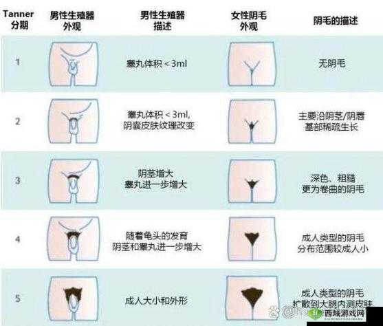 女性私密部位毛发茂盛是否正常?