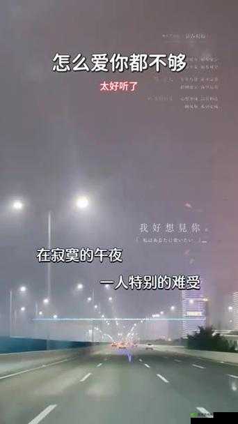 在寂寞的午夜特别的想你:一首深情的情歌