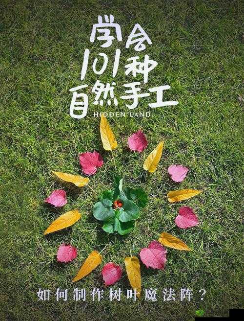 创造与魔法，探索树叶的奇妙世界