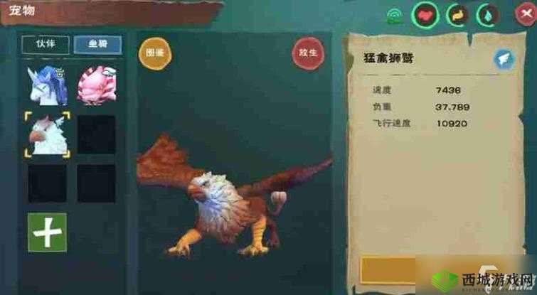 创造与魔法御剑飞行技巧详解,怎么飞