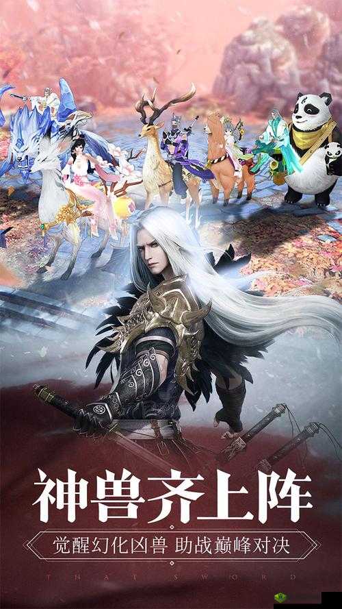 在那一剑江湖这款游戏中,宝石作为提升角色属性和战斗力的重要道具,扮演着举足轻重的角色。宝石的种类繁多,每种宝石都有其独特的功能和获取途径。以下是对游戏中宝石种类及其获取方式的详细解析。