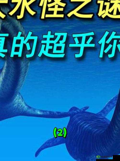 荒漠乐园奇遇，揭秘水怪现身之谜与土壤湿润的奥秘