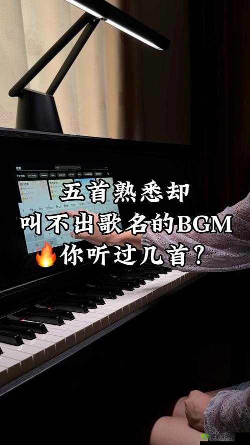 BGMBGMBGM 成熟交:探索音乐与情感的深度交融