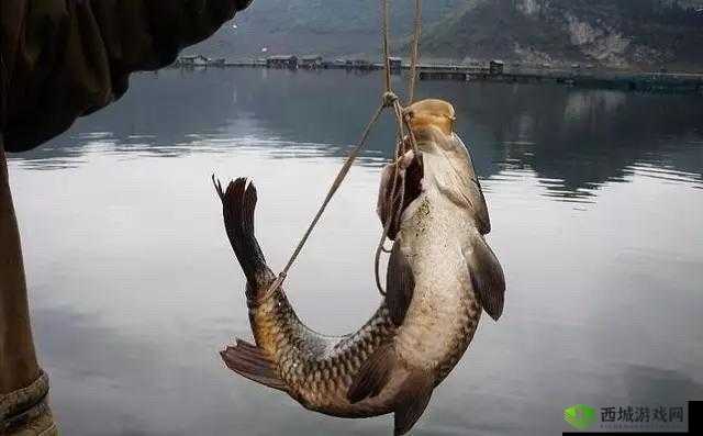 弯着腰弓着身子的样子:劳作的艰辛与佝偻的姿态