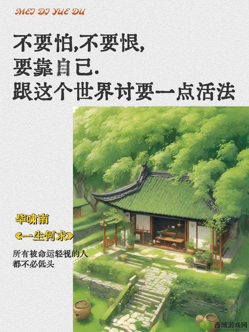 已满十八带好纸巾从此转人翻新太慢了?网友:探寻背后的故事与思考