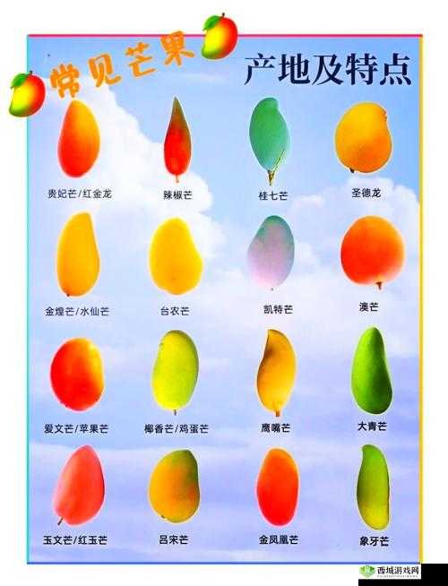 芒果精产国品一二三产区区别:详细分析各产区的特点与差异