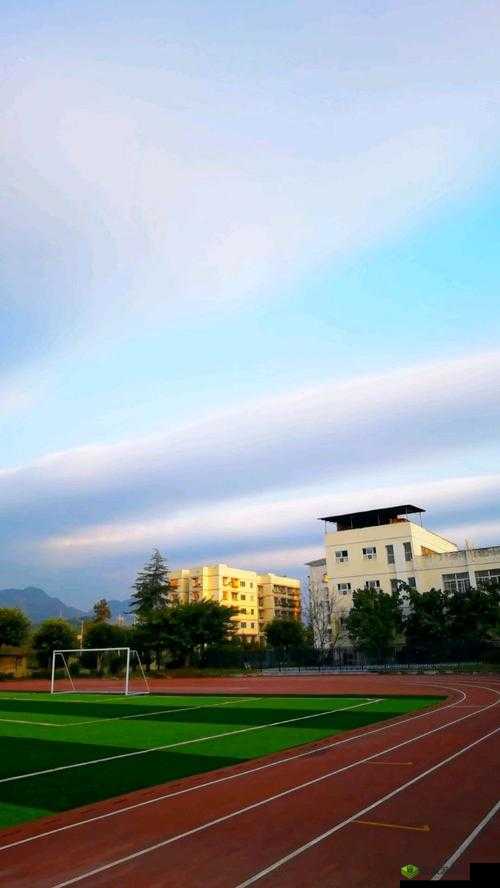 朝阳初升校园 11h 是何景象:探寻清晨校园的美妙瞬间