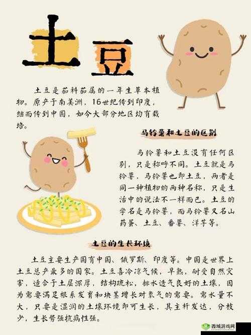探索奶块土豆的奇妙世界，获取方法与美食创意