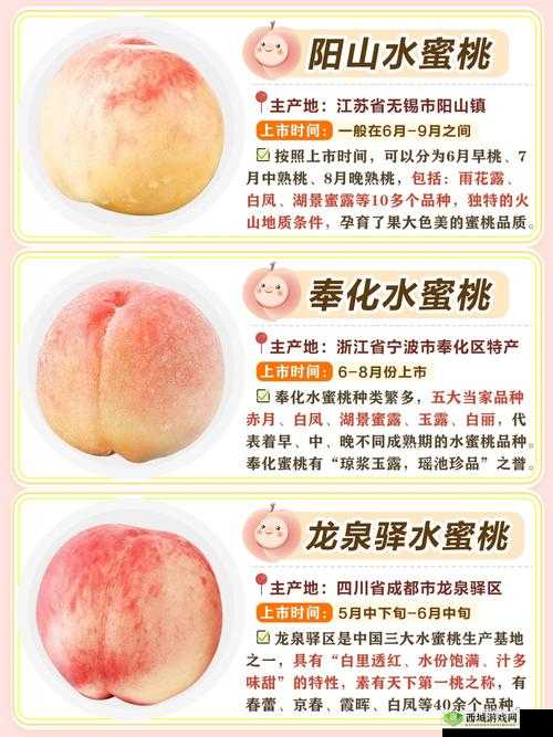 水蜜桃 8844:关于水蜜桃 8844 的详细介绍与独特魅力