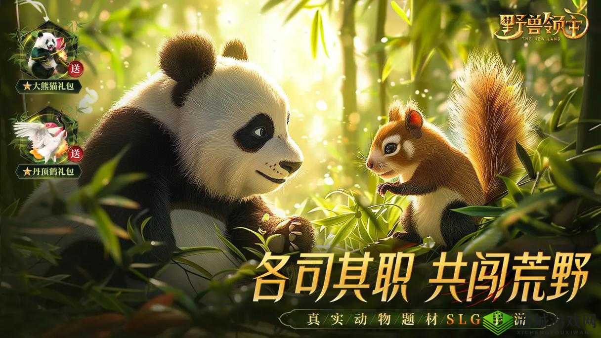 OOM 与动物 ZOOM 最新版本:探索神奇动物世界的全新体验