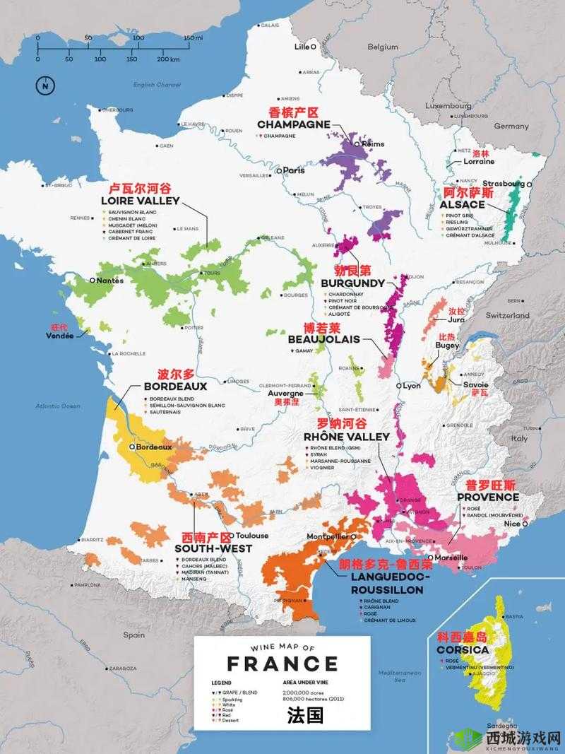 国产产区一二三产区区别在线:深入探究其详细差异与特点