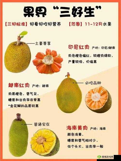 菠萝蜜一线二线三线品牌:品质差异与市场影响力解析