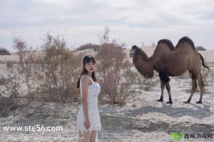 越南女 RAPPERDISS 苗族的独特音乐魅力与风采