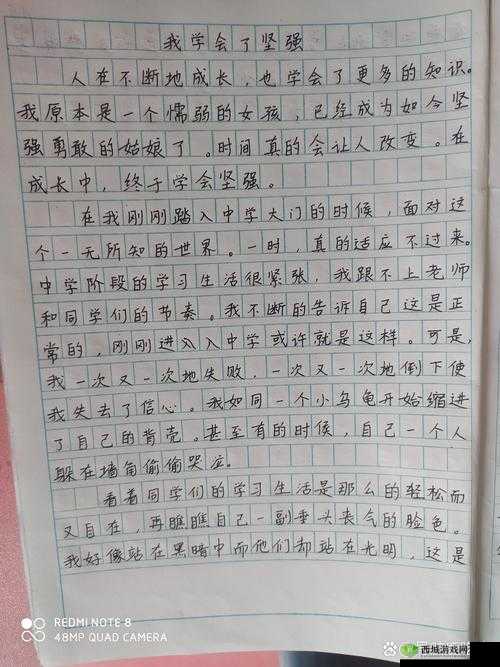 晶晶极限训练日记 19:挑战自我的艰辛历程