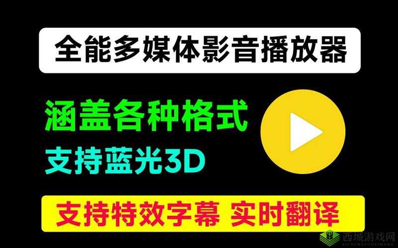 成品 W灬源码伊旬园大象 2023 支持小窗口播放:功能强大的多媒体播放器