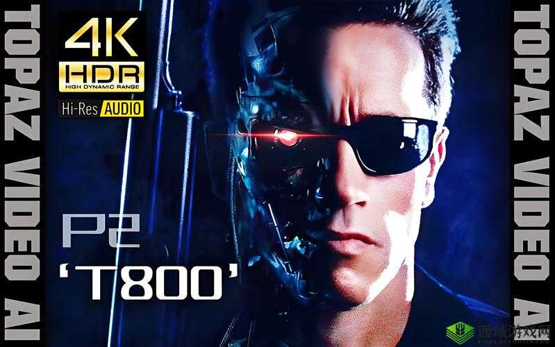 终结者2重新激活游戏解决办法,怎么还要输入激活码的资源管理策略