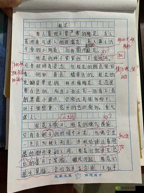 六年级菊花能塞下几支笔?揭秘学生文具收纳的创意妙招