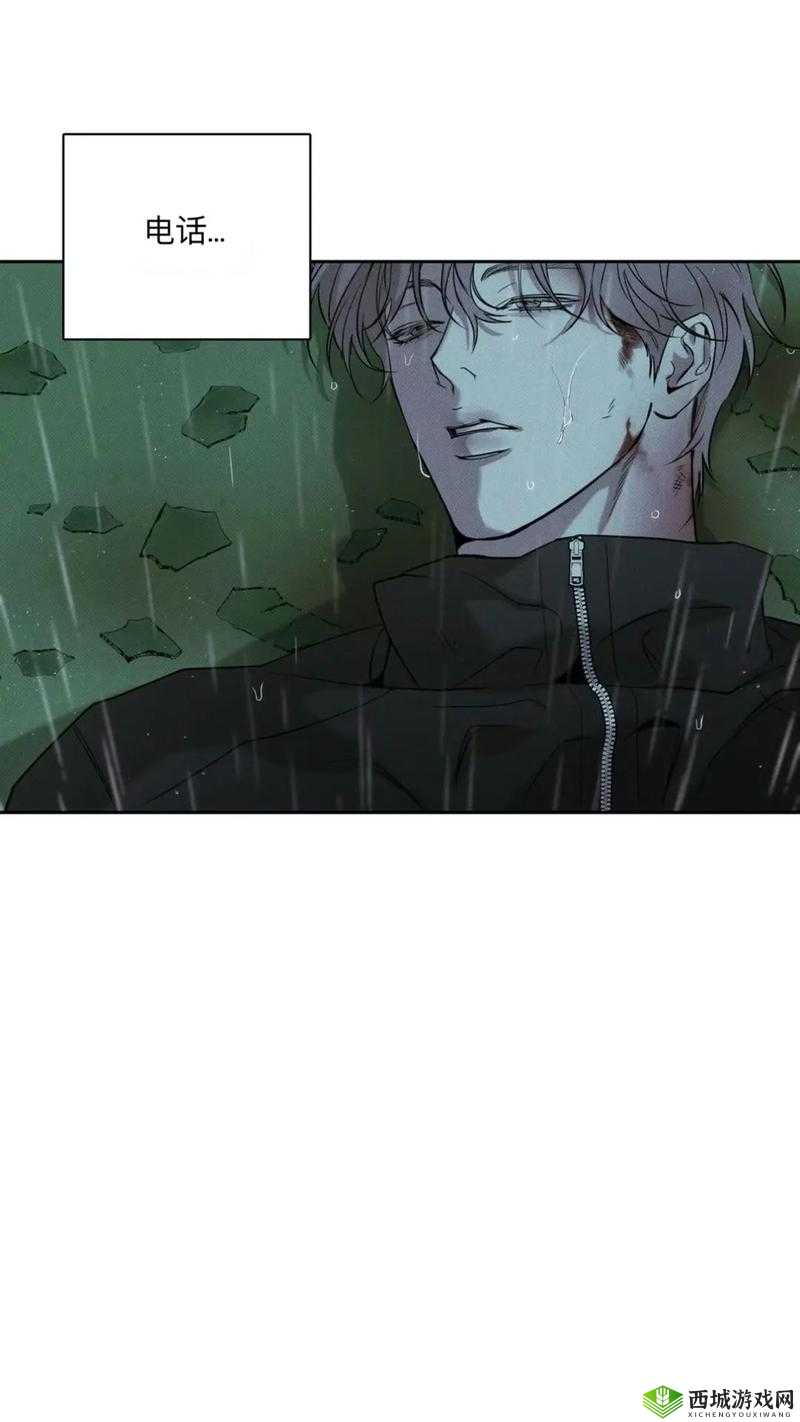 黄金宫，探索与挑战的奇妙之旅