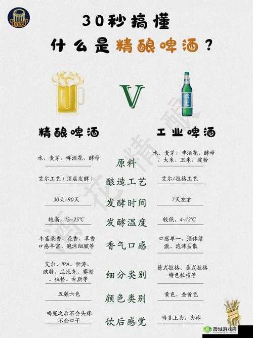 精二和精三的区别是什么?深度解析两者的核心差异与应用场景