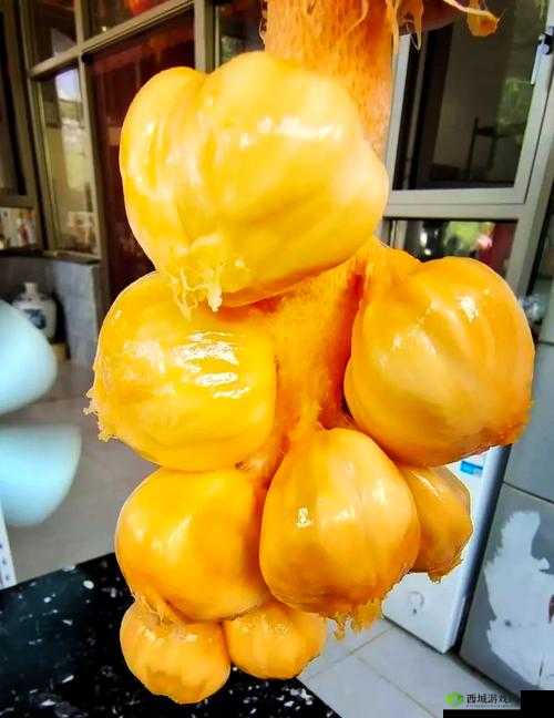 榴莲香蕉苹果哈密瓜水蜜桃全集:探索五种水果的独特风味与健康益处