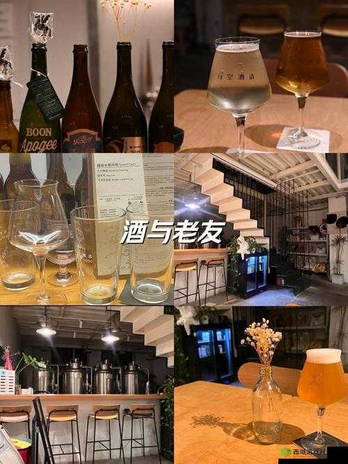 招惹1v1po伴酒:深夜微醺时刻,如何巧妙应对一对一的情感挑战?