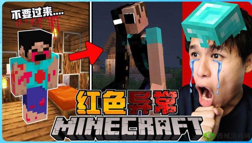 暴躁老外玩Minecraft意外泄露真容，网友热议：游戏背后的真实面孔曝光