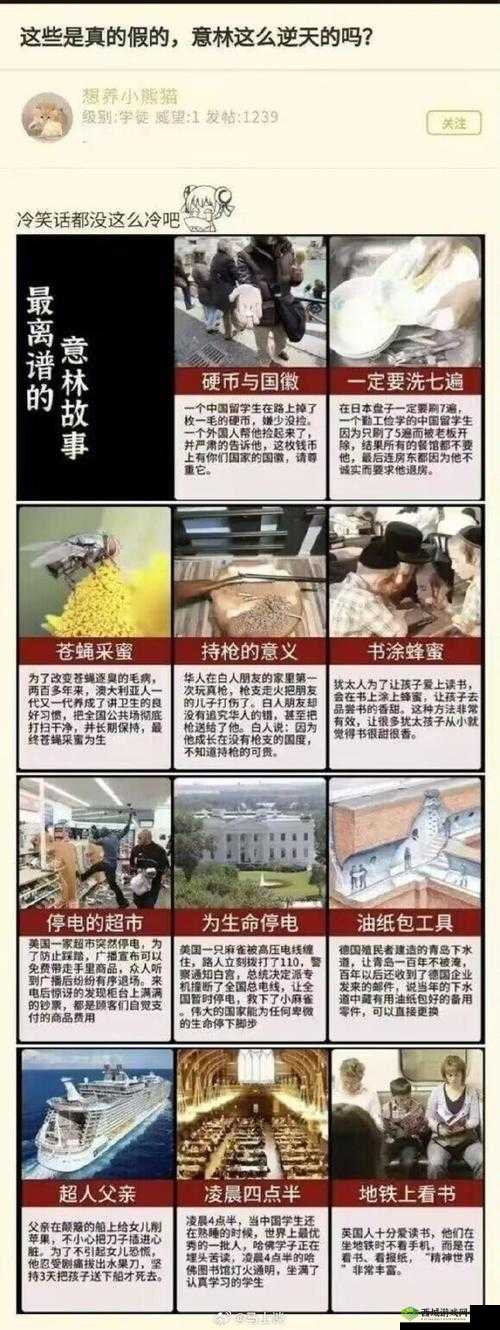 探索色色麻的奥秘:从传统到现代的应用与健康效益