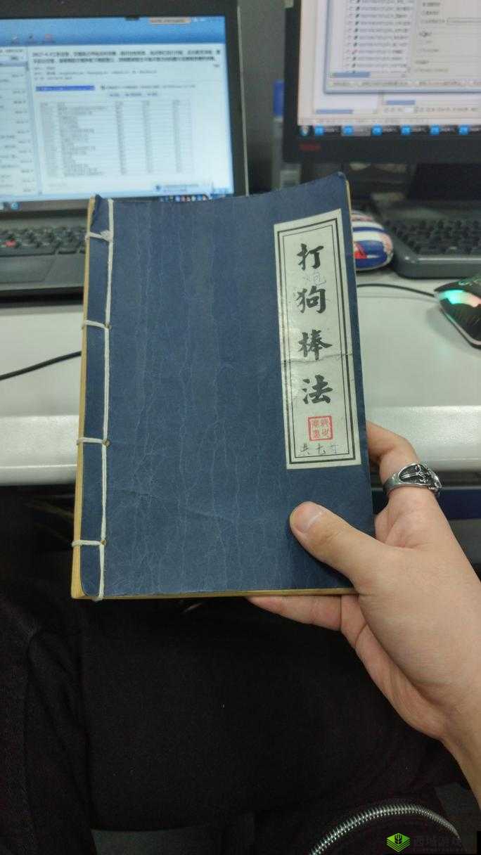 我的侠客打狗棒法怎么得?打狗棒获得方法介绍及其资源管理策略