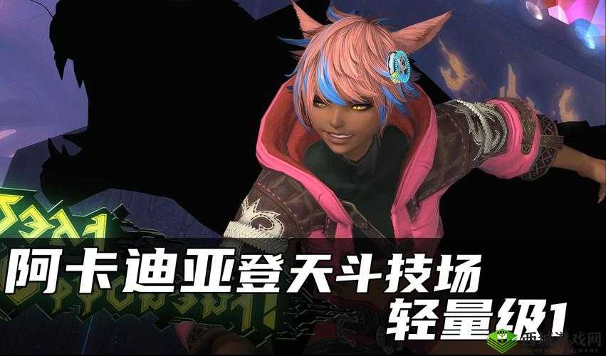 阿卡迪亚怎么编队,游戏系统攻略的演变史专题