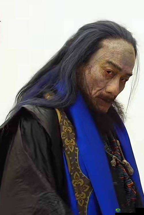 新射雕群侠传之铁血丹心欧阳锋怎么玩,玩法技巧攻略