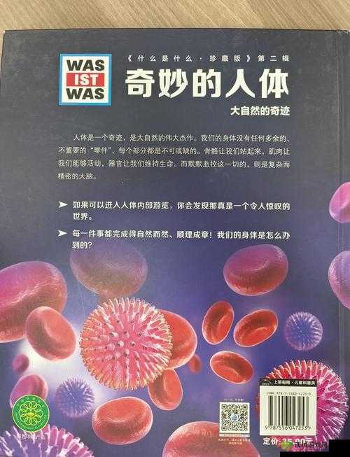 身体内的插曲究竟是什么？探索人体内部神秘插曲的奥秘与影响