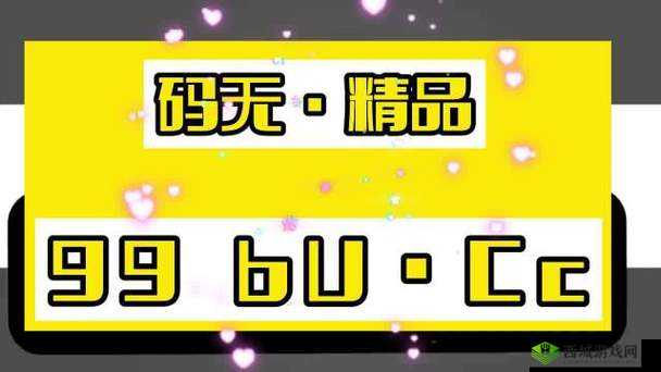 国精产品 999 一区二区三区有哪些限制?是否需要付费?
