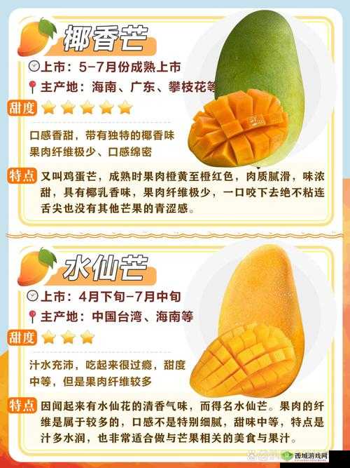 一区二区三区四区产品乱码芒果秒收信息网：最新产品分类与快速查询指南