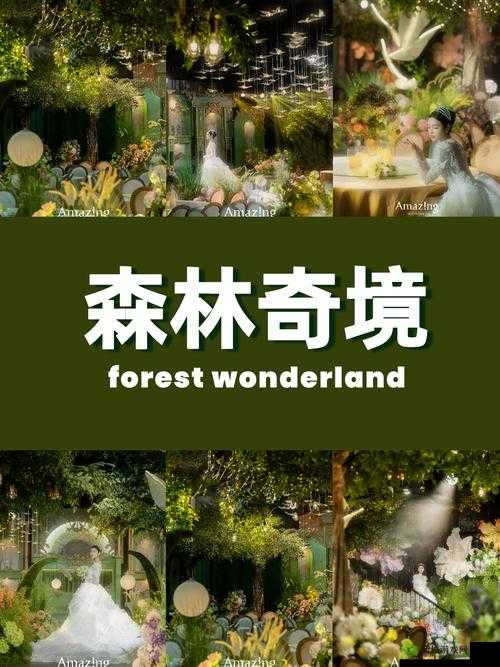 WELCOME 仙踪林是什么?带你了解神秘而独特的 WELCOME 仙踪林