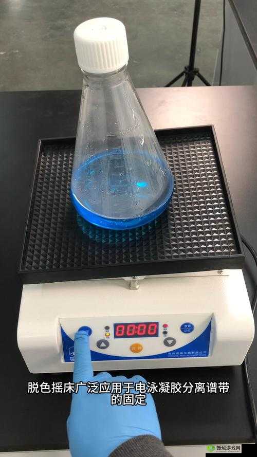 如何选择适合的脱色摇床?从工作原理到应用场景全面解析