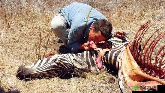 野外截取的这段视频太震撼了大家快来看看这里到底发生了什么？