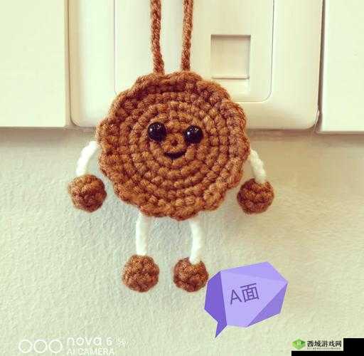 双胞胎一前一后夹心饼干双子的创意吃法与独特风味体验,让你一次尝尽两种美味