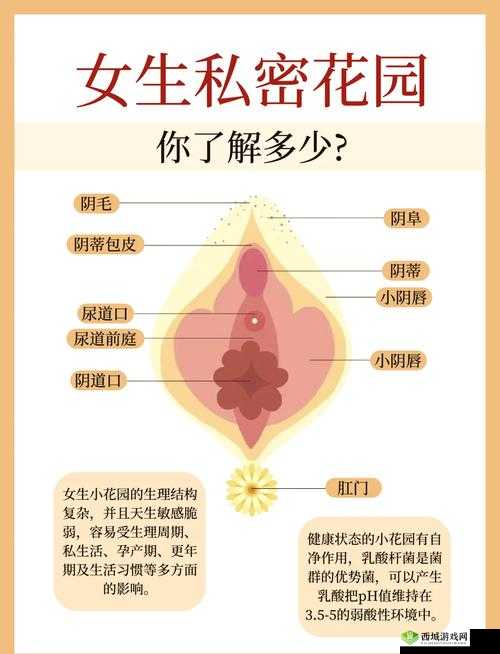 1000 个女人的私密故事:18 毛片背后的真相